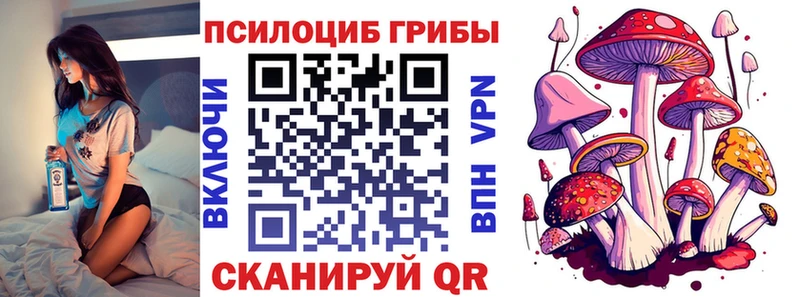 kraken вход  купить наркотик  Новая Ладога  Галлюциногенные грибы Magic Shrooms 