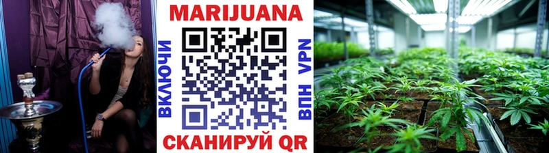 Бошки марихуана конопля  что такое   Новая Ладога 